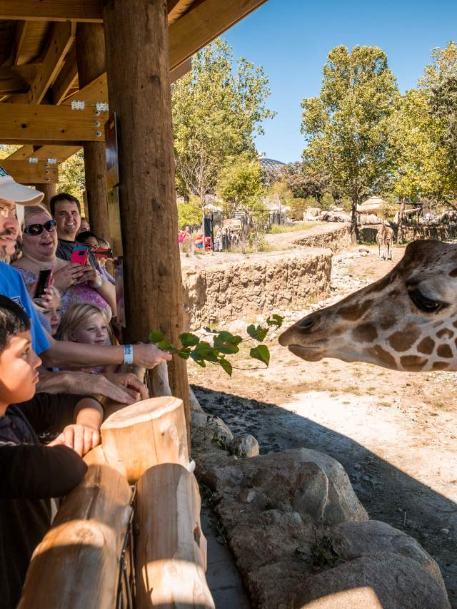 Omaha’s Henry Doorly Zoo & Aquarium