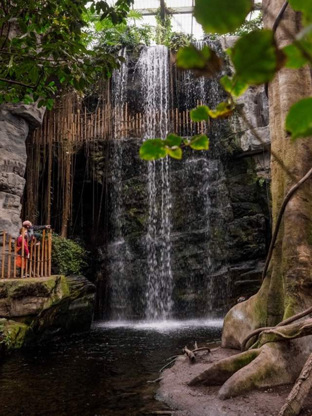 80+ Omaha Attractions | Omaha Zoo, Museums, Gardens & Historic Sites