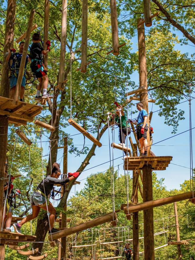 TreeRush Adventures