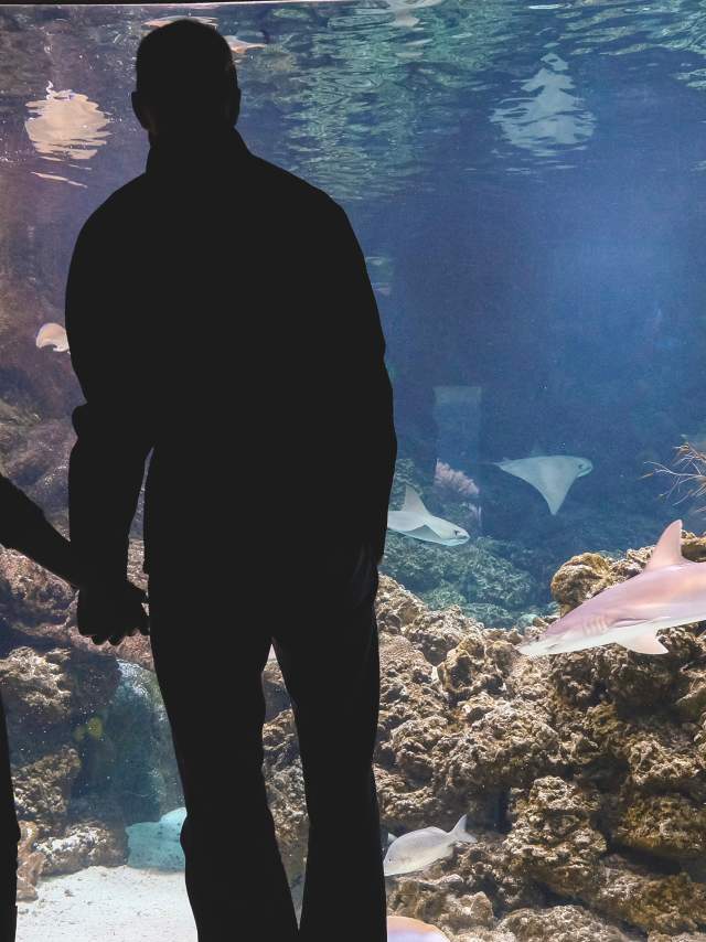 Couples can hold each other tight in the dim light of the aquarium at Omaha's Henry Doorly Zoo
