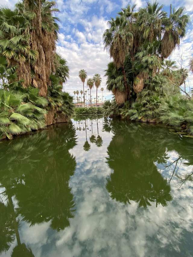 prescott preserve