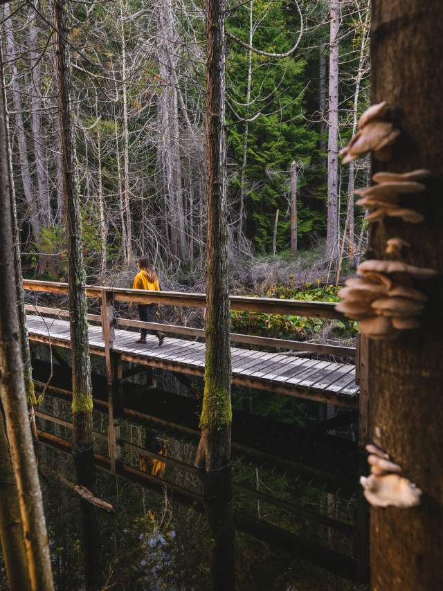Smuggler Cove Marine Provincial Park