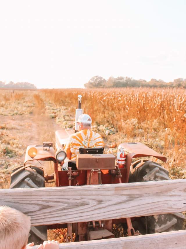 Tractor ride