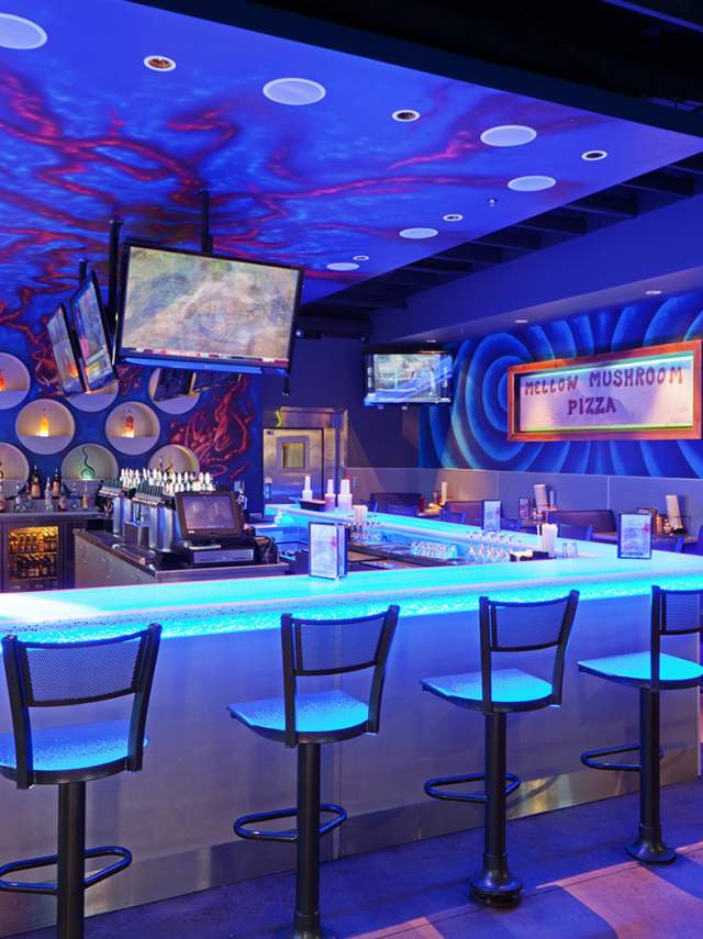 The mellow sale mushroom