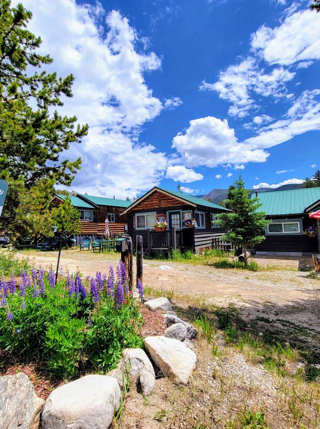 Lupine Village