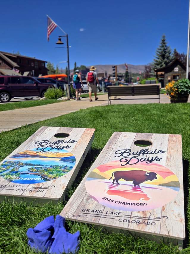 Buffalo Days Corn Hole Boards