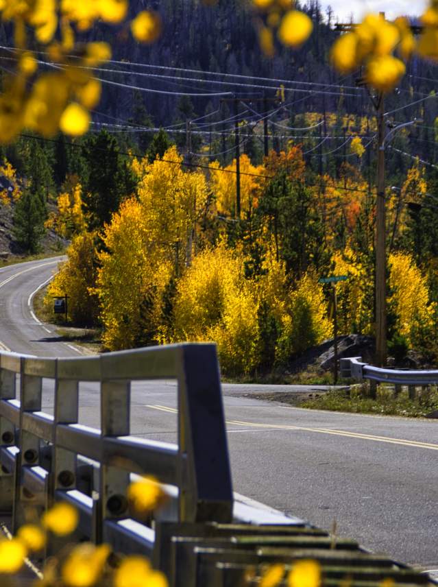 Road over bridge in the fall