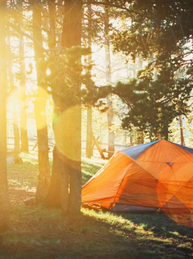 Campsite