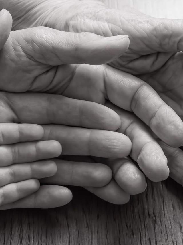 Four Generations by Bill Franz