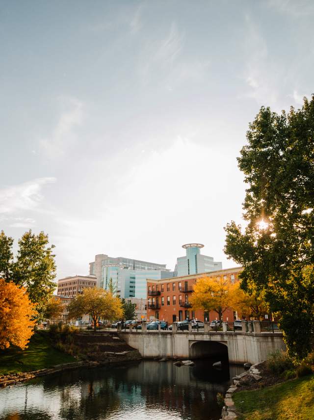 A look at downtown, from the bank of a river