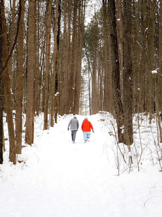 2 people walking through a snow covered forest