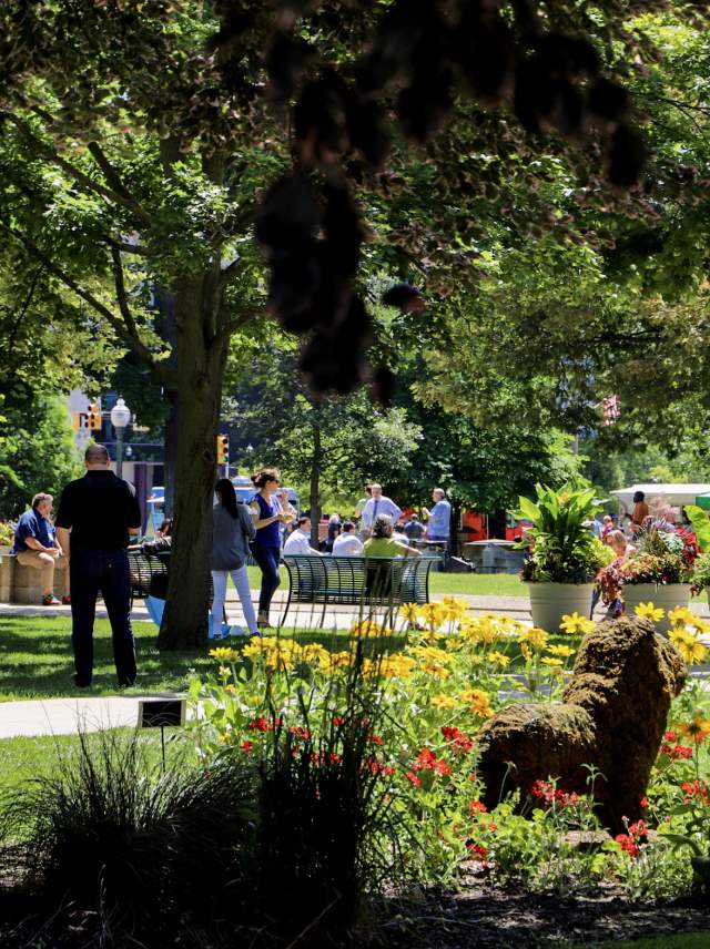 People in the park