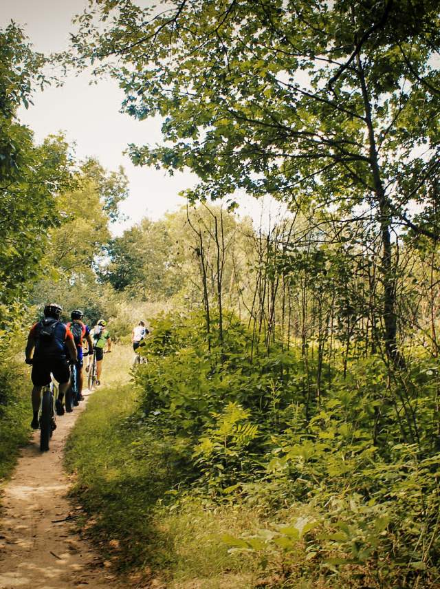 Mountain bikers on a trail