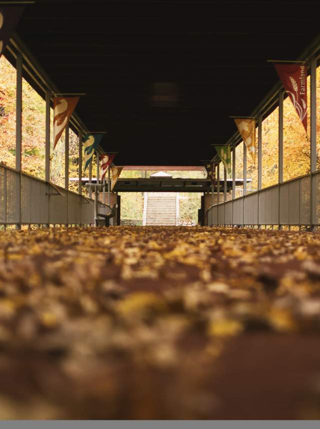 Covered walkway at the nature center