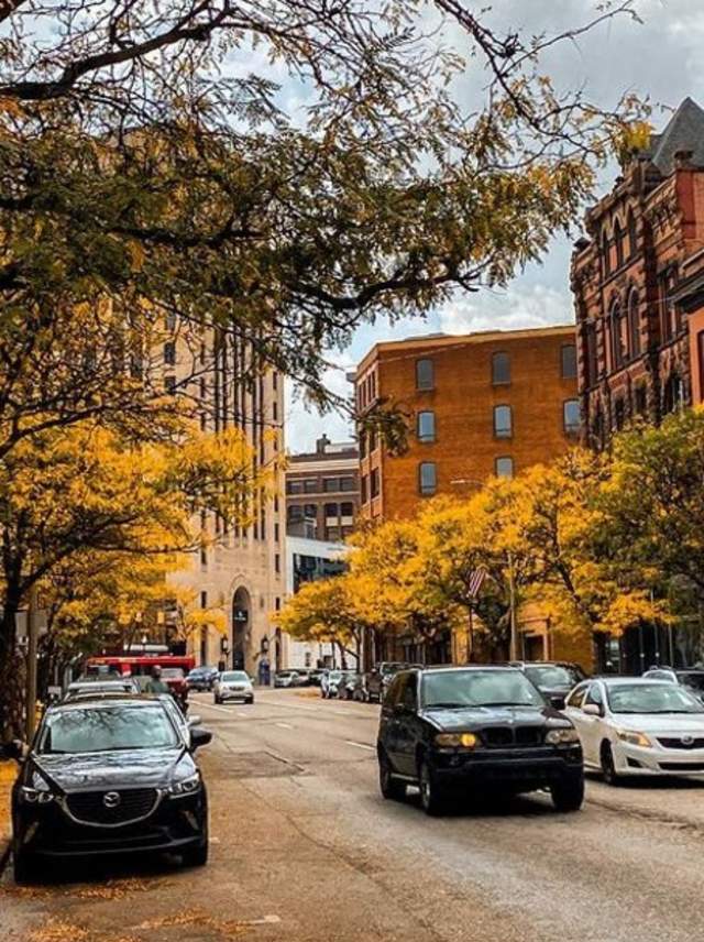 Downtown Fall