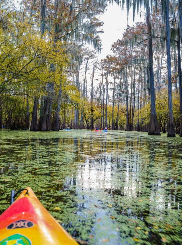 View of Lake Bistineau from a Red Kayak