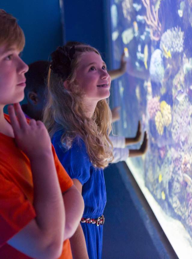 Two Kids at Shreveport Aquarium Viewing Fish Tank