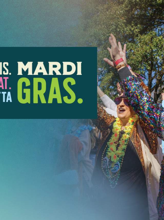 A Whole Lotta Mardi Gras 2024 Website Header - Festive Paradegoer