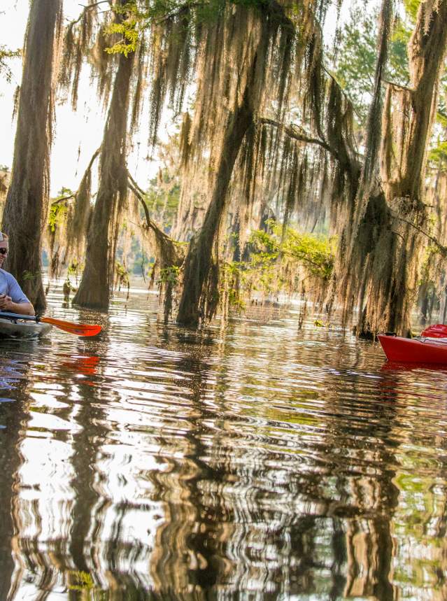 Kayaking on Caddo Lake