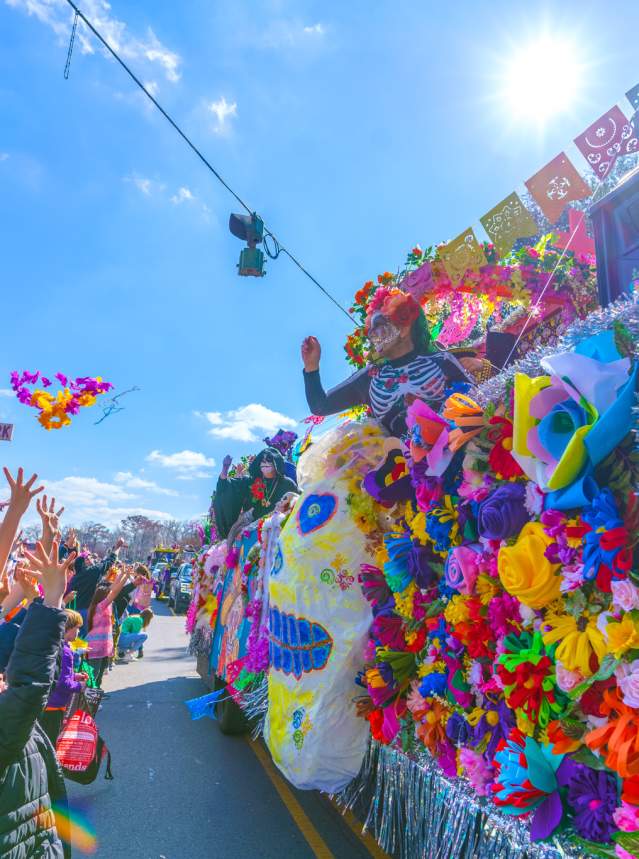 mardi gras highland parade