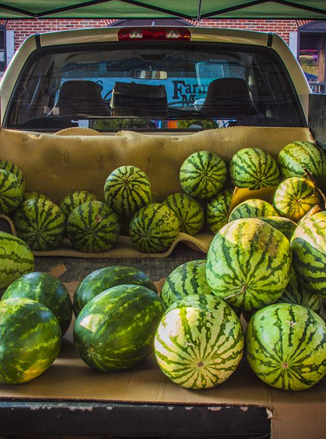 fresh ripe watermelons in the back of a pickup truck at a Shreveport-Bossier farmers market