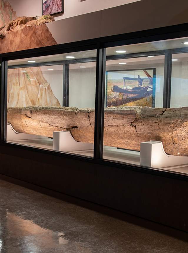 Native American dugout canoe at Louisiana State Exhibit Museum in Shreveport, La.