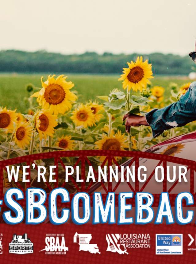 We're Planning our Comeback - Sunflowers