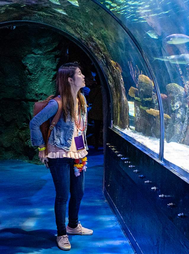 Shreveport Aquarium Tunnel