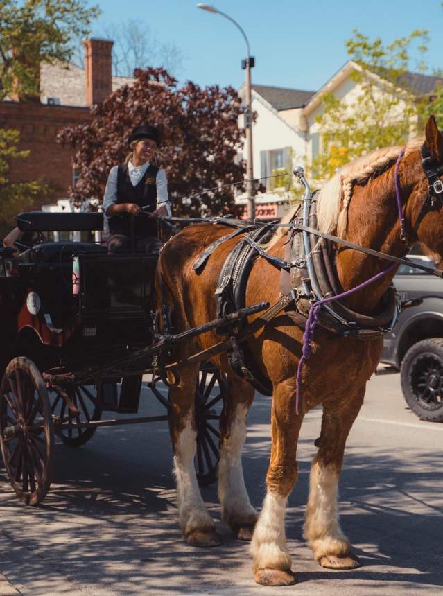 Historic carriage ride