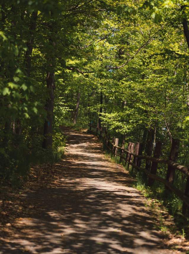 Nature trail