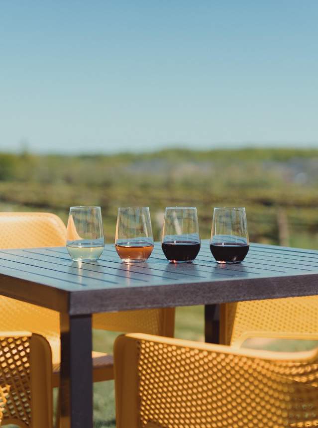 Wine tasting cups