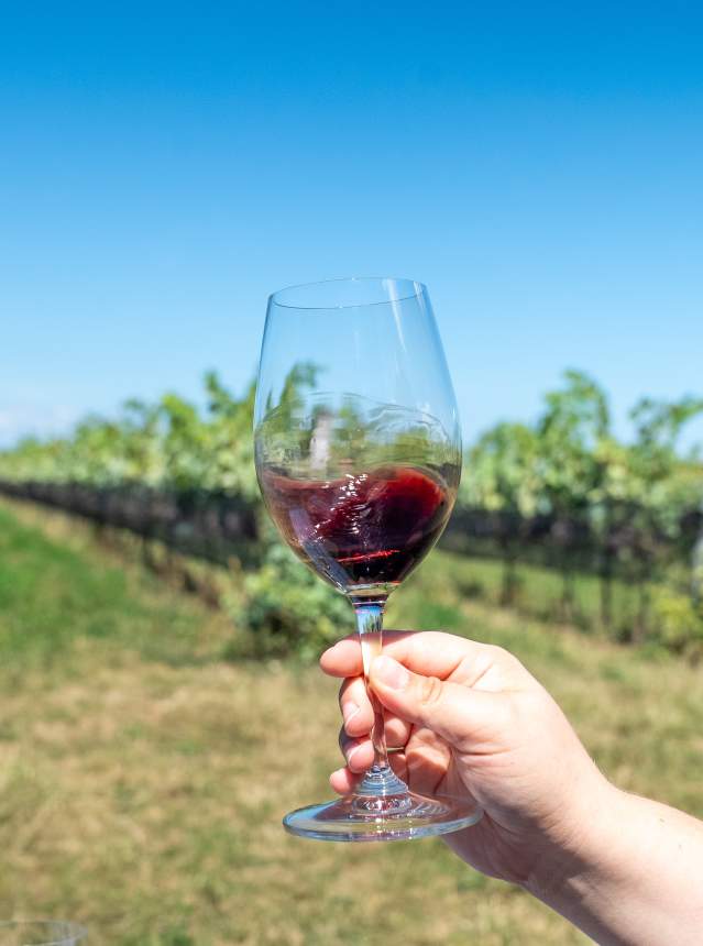 Wine glass
