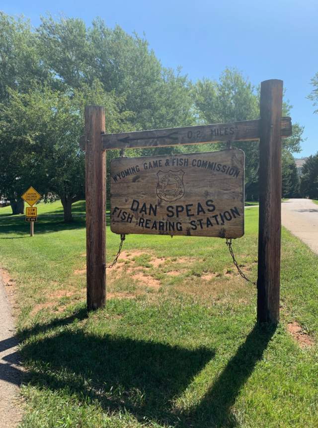 4 Reasons Dan Speas Fish Hatchery Should be on Your Casper Bucket List