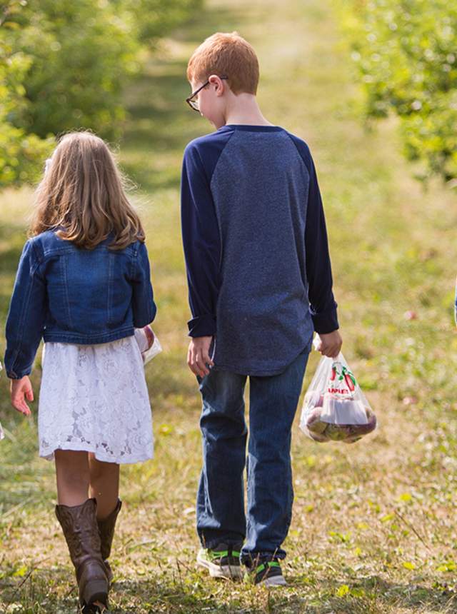 Family of 4 walking through an apple orchard