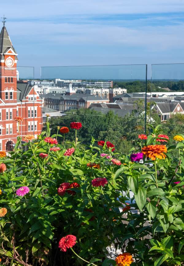 16 Ways to Experience Spring in Auburn-Opelika