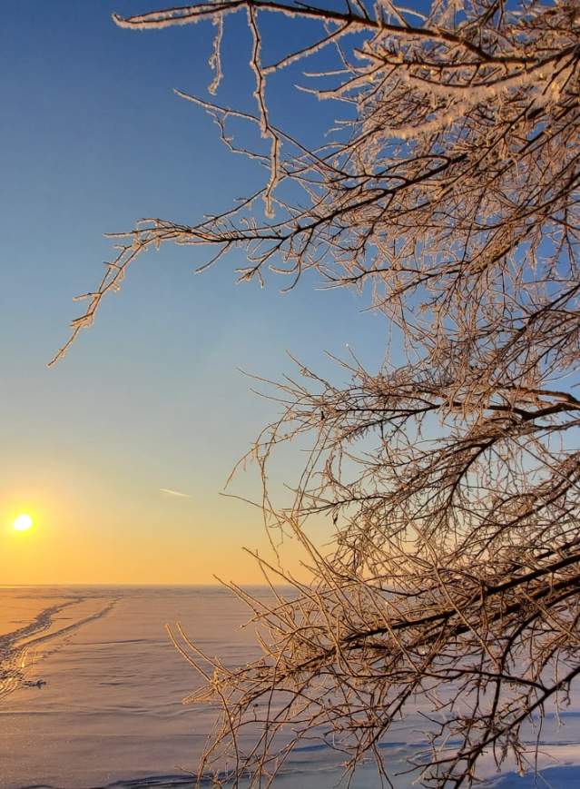 Monroe Winter