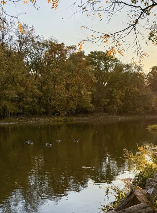 River Raisin Waterway