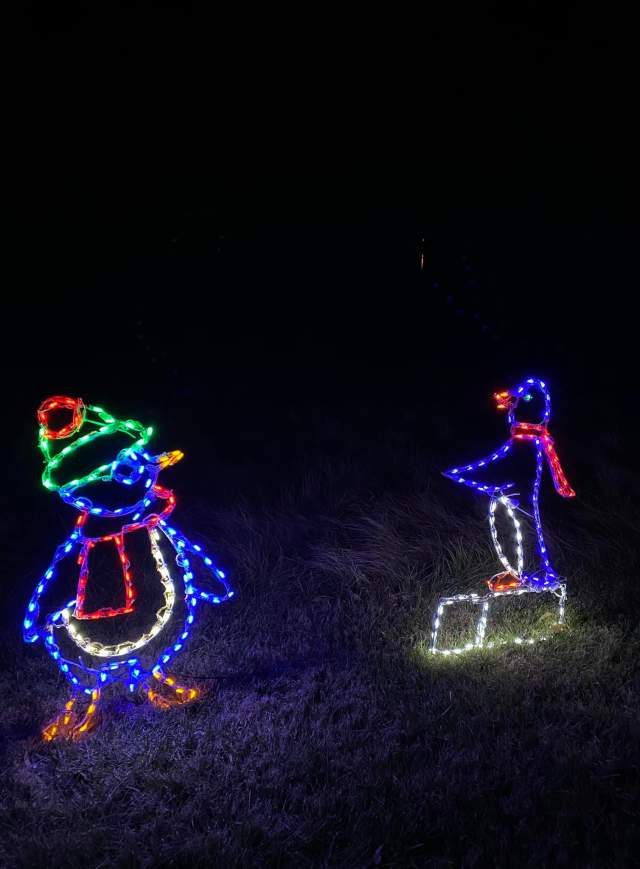 Capital City Festival of Lights