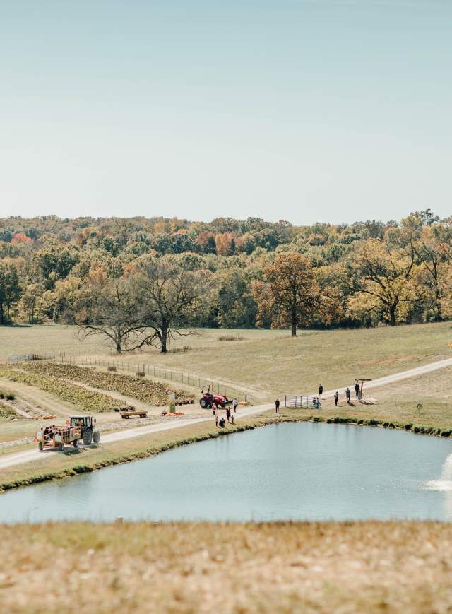 Rhymers Ridge Fall Festival