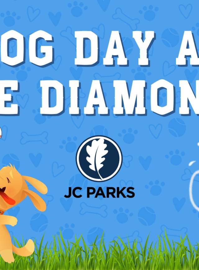 Dog Days at the Diamonds