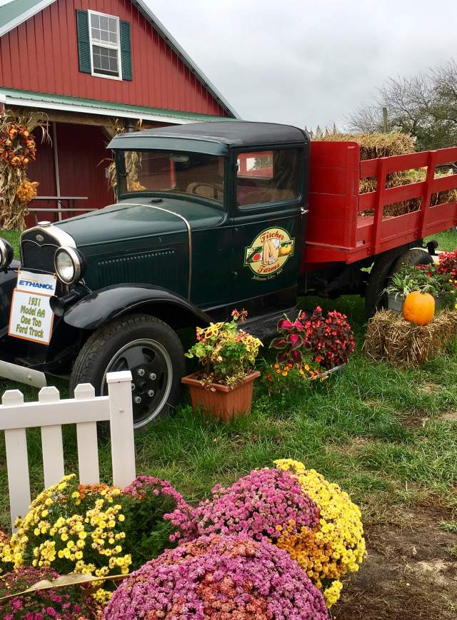 Fischer Farms Pumpkin Patch & Corn Maze
