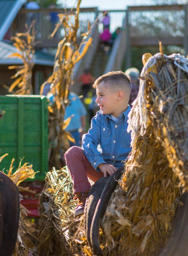 Fischer Farms Pumpkin Patch & Corn Maze
