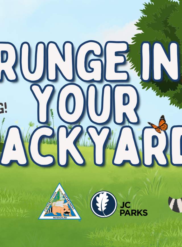 Runge in Your Backyard