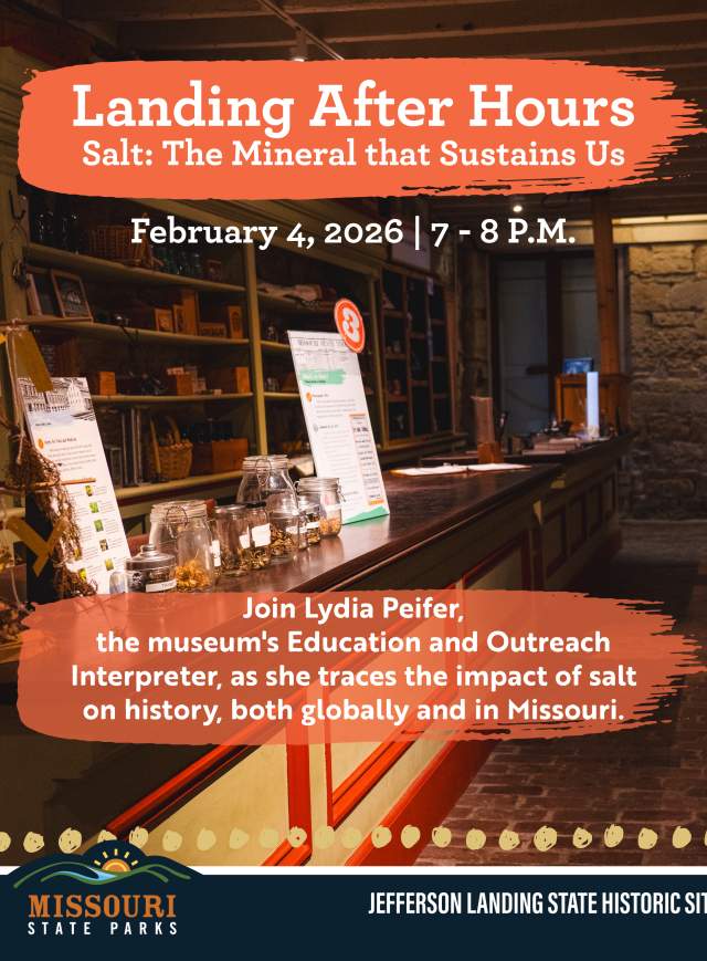 Landing After Hours - Salt: The Mineral that Sustains Us