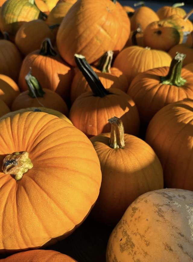 Lincoln University Farmers Market