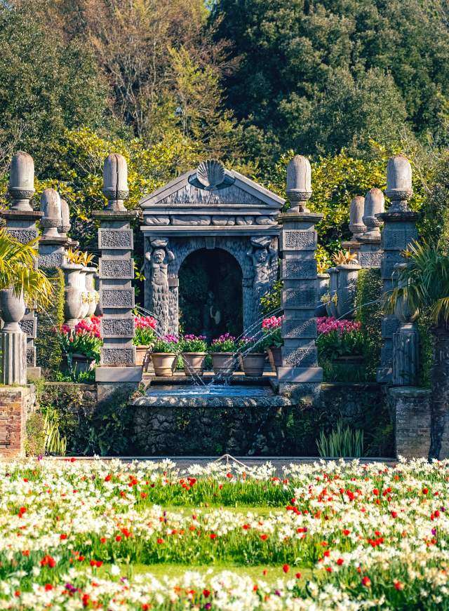 White and red Tulip display at Arundel Castle gardens in Sussex