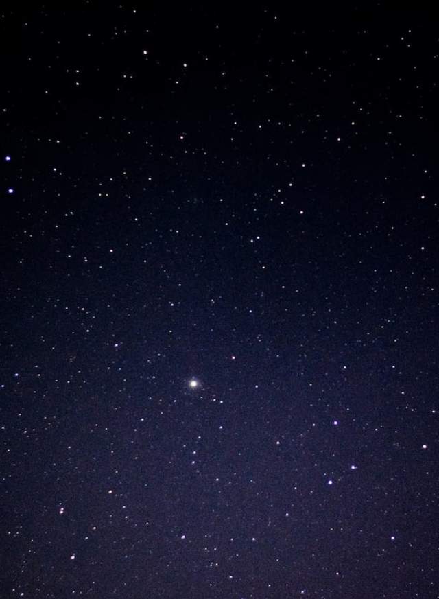 Wine with the Stars