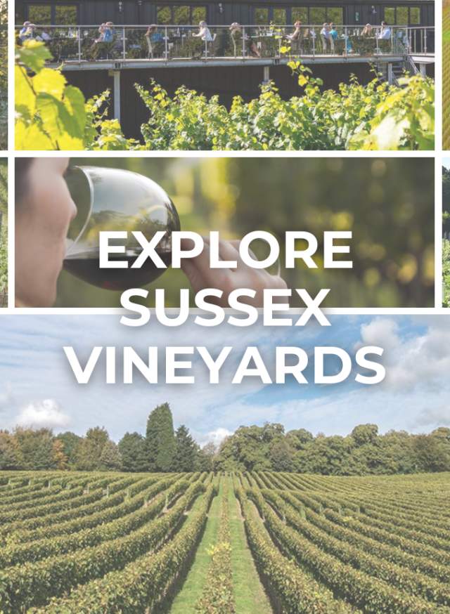Discover Sussex Vineyards