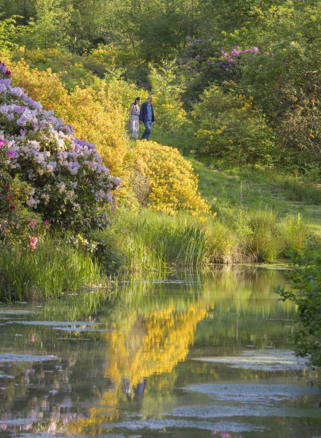 A lake surrounded by colourful spring shrubs, with a couple walking along the bank at Leonardslee Gardens, Sussex