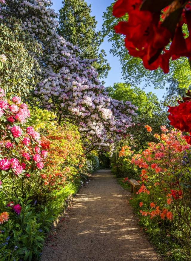 Discover the secret gardens of Sussex